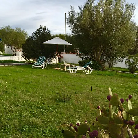 Porto Istana A Comune Di Olbia ムルタ・マリア