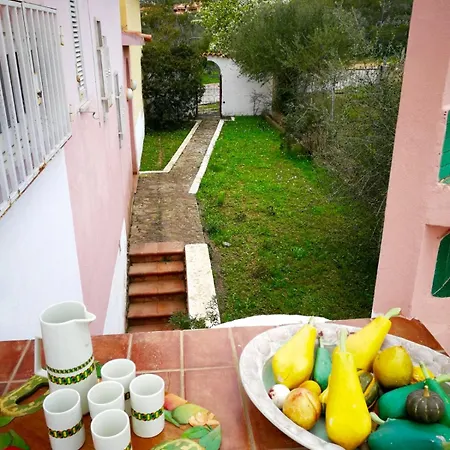 Villa Porto Istana A Comune Di Olbia