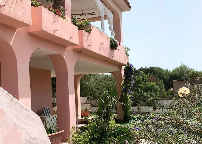 Porto Istana A Comune Di Olbia * ムルタ・マリア